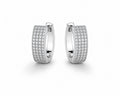 Midnight Glamour Earrings - Zari and Zevar