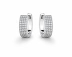 Midnight Glamour Earrings - Zari and Zevar