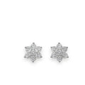 Sparkling Six-Petal Floral Studs - Zari and Zevar