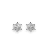 Sparkling Six-Petal Floral Studs - Zari and Zevar