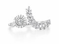 The Celestial Laurel Ring - Zari and Zevar